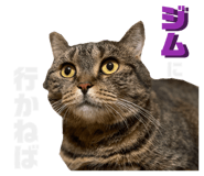 857713113