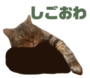 857713119