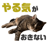 857713121