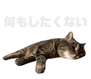 857713122