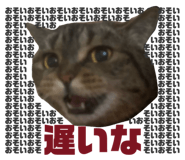 857713131