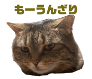 857713134