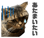 857713137