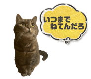 857713141