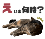 857713142