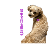 857713346