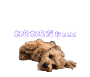 857713349