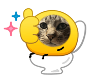 857713597