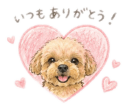 857713664