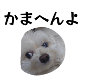 857713764