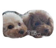 857713882