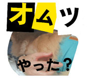 857713895
