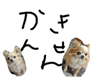 857713898