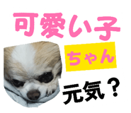 857713900