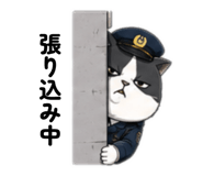857714115