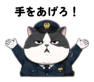 857714117