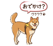857714209