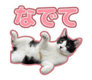 857714519