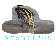 857714767