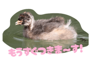 857714768