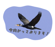 857714769