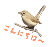 857714772