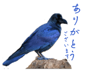 857714773