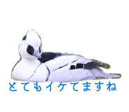 857714774