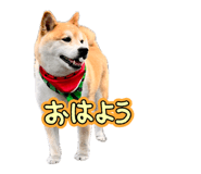 857715146