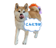 857715148