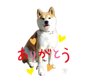 857715150