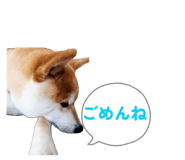 857715152