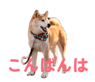 857715153