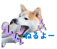 857715155