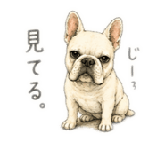 857715227