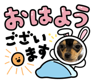857715465