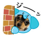 857715468