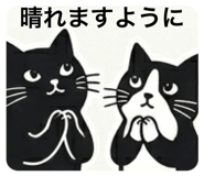 857715571