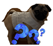 857716019