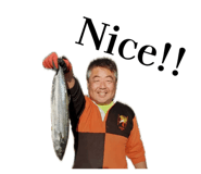 857716142