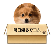 857716925
