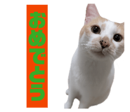 857717270