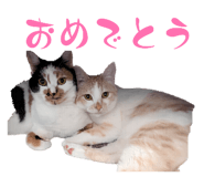 857717275