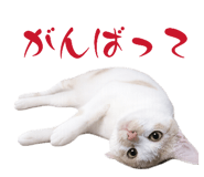 857717280