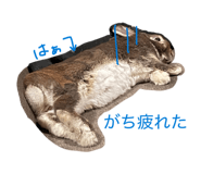 857718523
