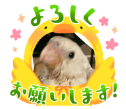 857718614
