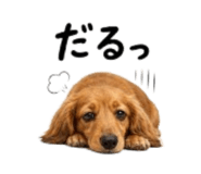 857718708