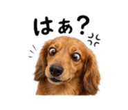 857718711