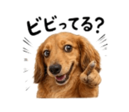 857718714