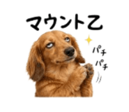 857718717